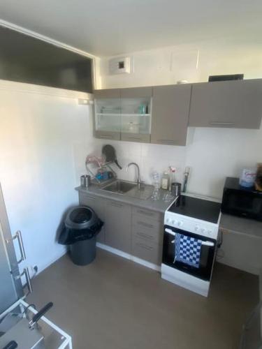 une petite cuisine avec un évier et une cuisinière dans l'établissement T2 Chevilly-Larue proche Metro 14, à Chevilly-Larue