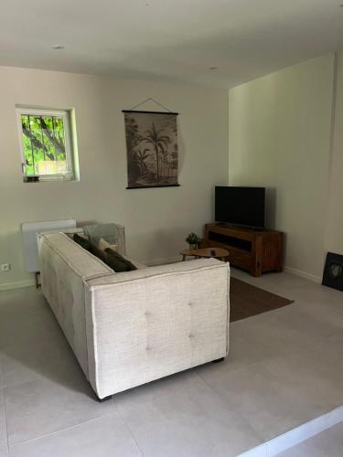 un salon avec un canapé et une télévision dans l'établissement Maison au bord de la Loire, à Saint-Jean-le-Blanc