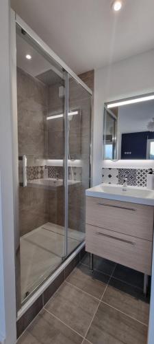 une salle de bain avec douche et lavabo dans l'établissement Chambres avec salle d'eau privative dans appartement partagé, à Toulouse
