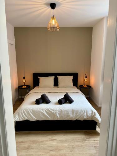 une chambre avec un lit avec deux oreillers dessus dans l'établissement Le cocon Mulhouse, à Mulhouse