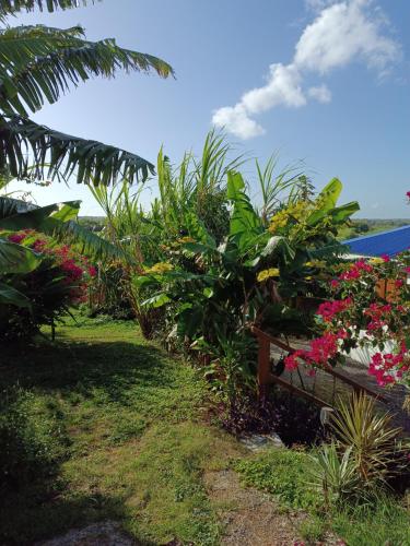 a garden with flowers and plants on a bench at Kaz a Klemence Gite creole avec piscine et table dhotes a Anse Bertrand in Anse-Bertrand
