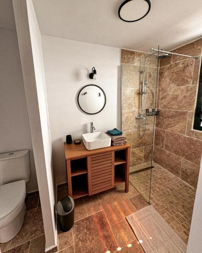 Le Bois de NèflesLe perchoir - tiny house avec vue mer的带水槽和淋浴的浴室