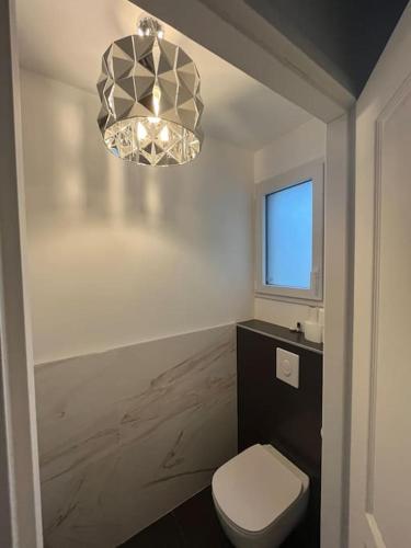 une salle de bain avec toilettes et un lustre dans l'établissement Charmante maison à louer, à Saint-Cyr-sur-Loire