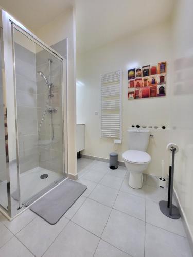 une salle de bain avec douche et toilettes dans l'établissement Paris à 7 minutes en métro, à Rosny-sous-Bois