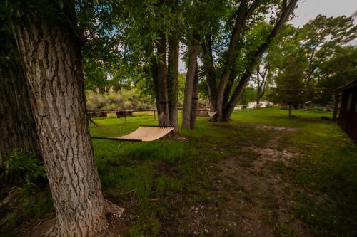 a skateboard ramp in a park with trees at Chinook Winds Lodge in Dubois