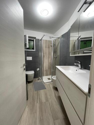 a bathroom with a sink and a shower and a toilet at Appartamento - Chalet Baltmann - Lavarone in Lavarone