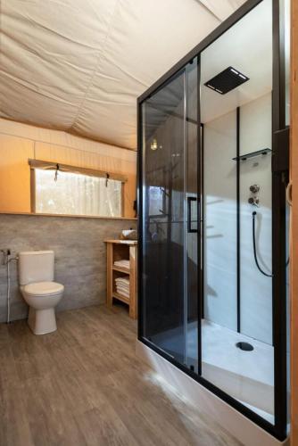 a bathroom with a toilet and a shower at ISOLA VERDE Camping Village in Nettuno