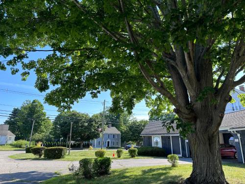 a tree in the middle of a residential street at Village Motel in Clinton