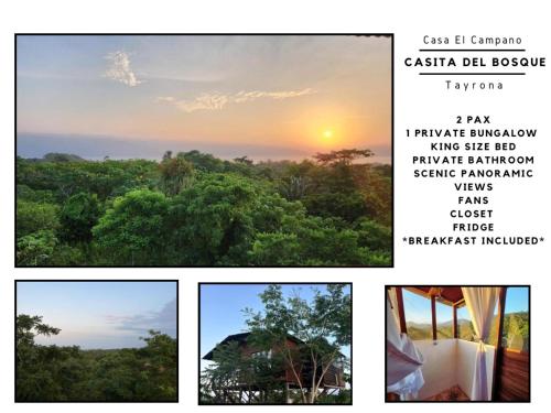 Gallery image of La Casita del Bosque in Santa Marta