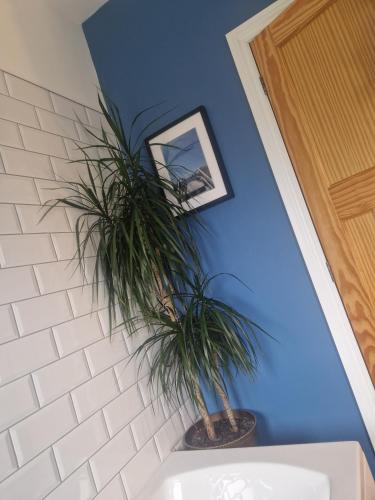Fotografie z fotogalerie ubytování Grove Getaway v destinaci Bangor