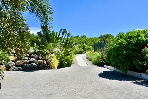 a walkway in a garden with plants and trees at SUNSEEKER SXM - Luxury Guest House 4 stars - Amazing Sea View Pinel - Tintamarre in Orient Bay