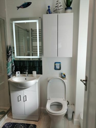 a bathroom with a toilet and a sink and a mirror at The Blue Crab in Bournemouth in Bournemouth