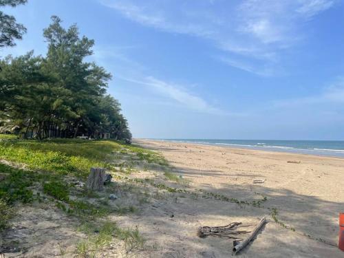 a sandy beach with trees and the ocean at Villa Playa Encantada in Barra de Tuxpan