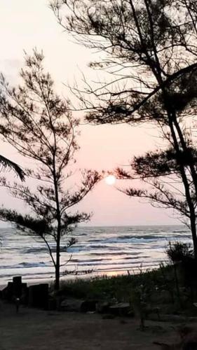 two trees on the beach with the sunset in the background at Villa Playa Encantada in Barra de Tuxpan