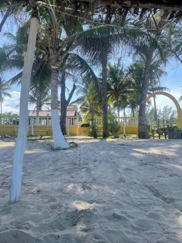 a group of palm trees on a sandy beach at Villa Playa Encantada in Barra de Tuxpan