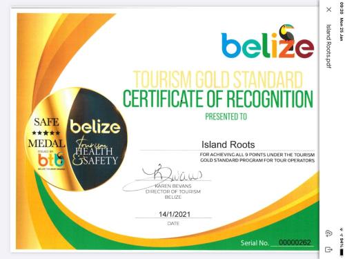 Certifikát, hodnocení, plakát nebo jiný dokument vystavený v ubytování Travellers Palm Backpackers