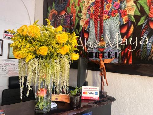 Hotel Alma Maya