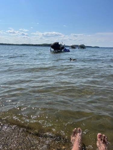 a persons feet in the water at the beach at Roberts Lake House Room# 2 in Colchester