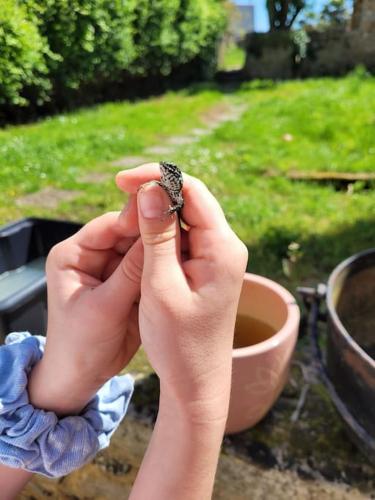 Zahrada ubytování Gite des Hirondelles