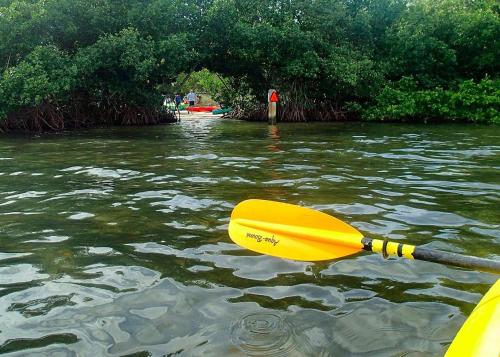 a yellow paddle in a body of water at Private Patio, Walk to All, 2min- Siesta Keys Best Beach, 1min- Dining & Entertainment of Village! in Siesta Key