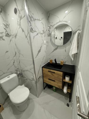 une salle de bain avec toilettes, lavabo et miroir dans l'établissement Appartement Dauphiné - près de la Gare, à La Guillotière