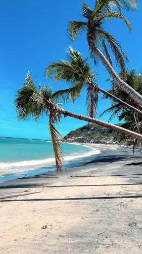 two palm trees on a sandy beach with the ocean at D'Ajuda Inn in Arraial d'Ajuda
