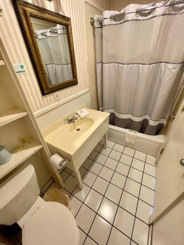 a bathroom with a sink and a toilet and a shower at Hotel Villa Convento in New Orleans