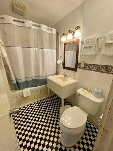 a bathroom with a white toilet and a sink at Hotel Villa Convento in New Orleans