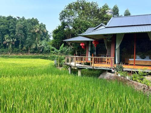 a house in a rice field next to a rice field at VuLinh Family -Homestay in Yên Bình