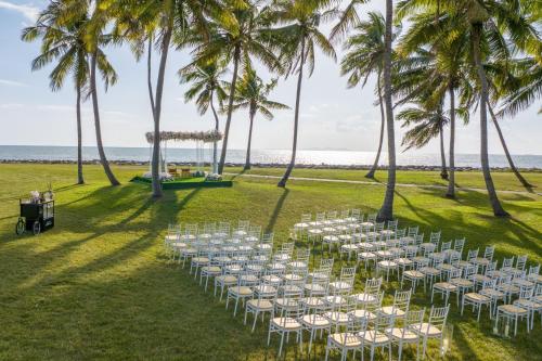 a row of chairs and palm trees on the beach at Sheraton Fiji Golf & Beach Resort in Denarau