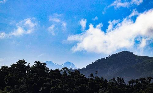 a blue sky with clouds and trees and mountains at HOSTAL MIRADOR dentro del parque tayrona in El Zaino