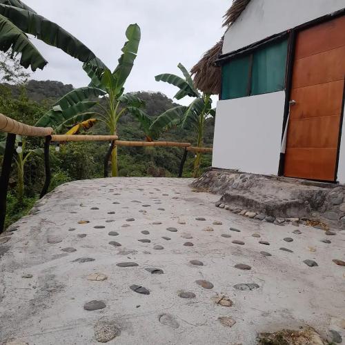a walkway leading to a building with trees in the background at HOSTAL MIRADOR dentro del parque tayrona in El Zaino