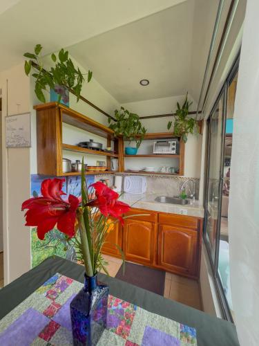 a vase with red flowers on a table in a kitchen at Lidia's Mountain View Vacation Homes in Monteverde Costa Rica