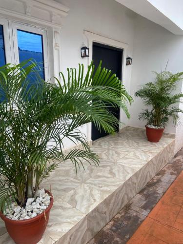 three plants in pots sitting on a patio at Claramojisola -Eunice Apartment in Abuja
