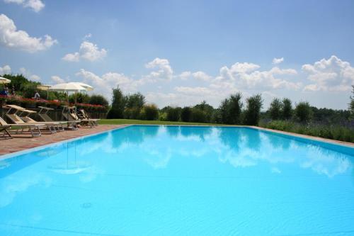 a large blue swimming pool with chairs and trees at Podere Il Pino in Poggibonsi