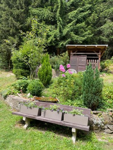 a bench in a garden with flowers and plants at Chata Alšovka in Měděnec