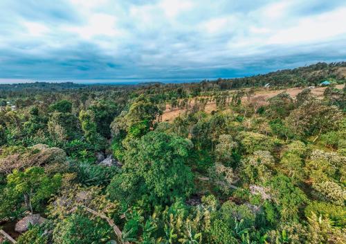 an overhead view of a forest of trees at Samora River Lodge in Arusha