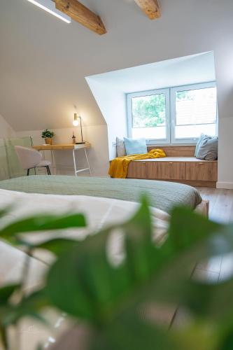 Apartament Łowicka