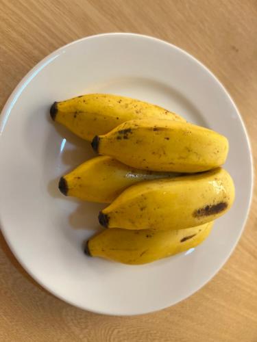 four bananas on a white plate on a table at Samora River Lodge in Arusha
