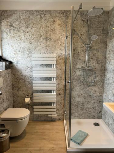 a bathroom with a shower and a toilet and a sink at Weinburg -Das Ferienhaus in Cochem