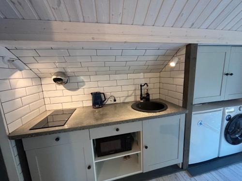 a kitchen with a sink and a washer and dryer at Cozy studio in a horse ranch in Lieplaukė
