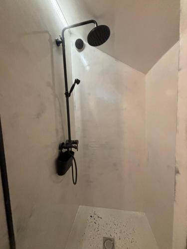 a shower in a bathroom with a microphone on the wall at Cozy studio in a horse ranch in Lieplaukė