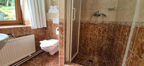 a bathroom with a toilet and a shower at Pension Vinkl in Harrachov