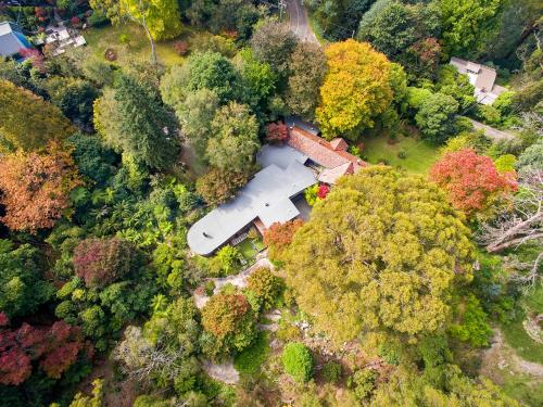 an aerial view of a house in the forest at Birch Suite - Rocky Creek Art Garden in Olinda