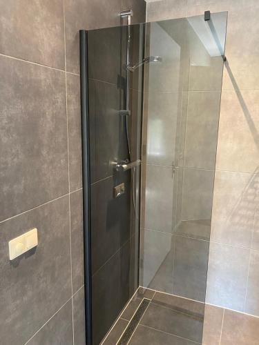 a shower with a glass door in a bathroom at Appartement Zeldam in Ambt Delden