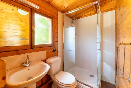 une salle de bain avec toilettes, douche et lavabo dans l'établissement Chalet atypique, à Saint-Pierre-de-Vassols