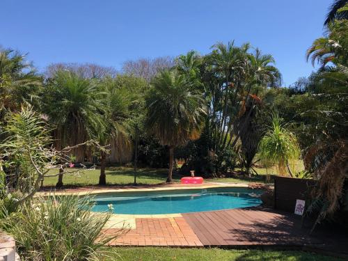 a swimming pool in a yard with palm trees at Shauna's Shack in Katherine
