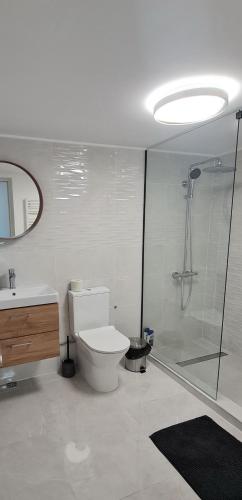 a bathroom with a shower and a toilet and a sink at Cazare Summer in Petroşani