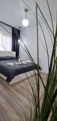 a bedroom with a bed and a plant at Cazare Summer in Petroşani