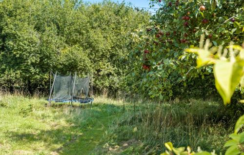 a tent in the grass next to an apple orchard at 3 Bedroom Awesome Home In Klemensker in Klemensker